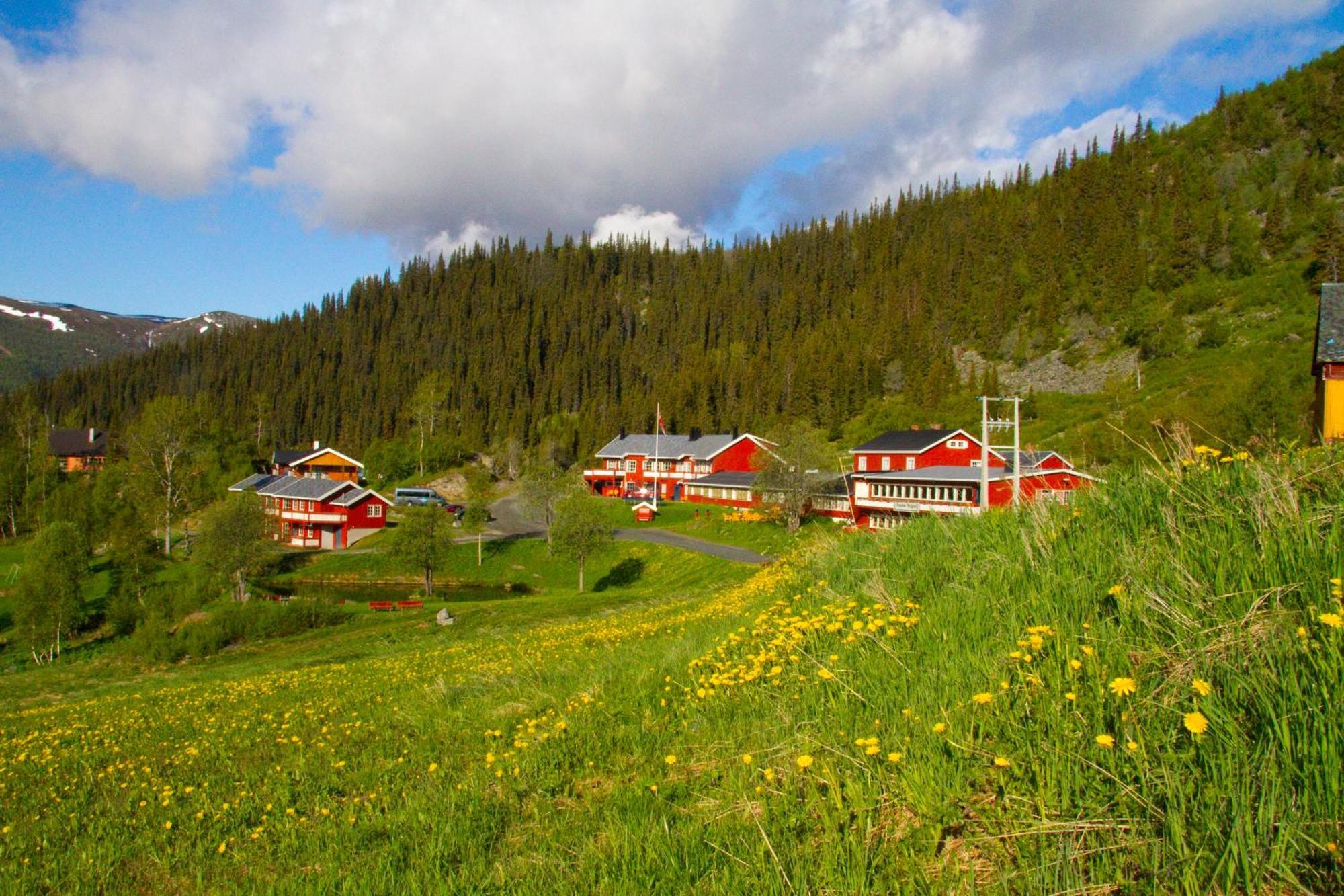 Gronolen Fjellgard Hotel Beitostolen Kültér fotó