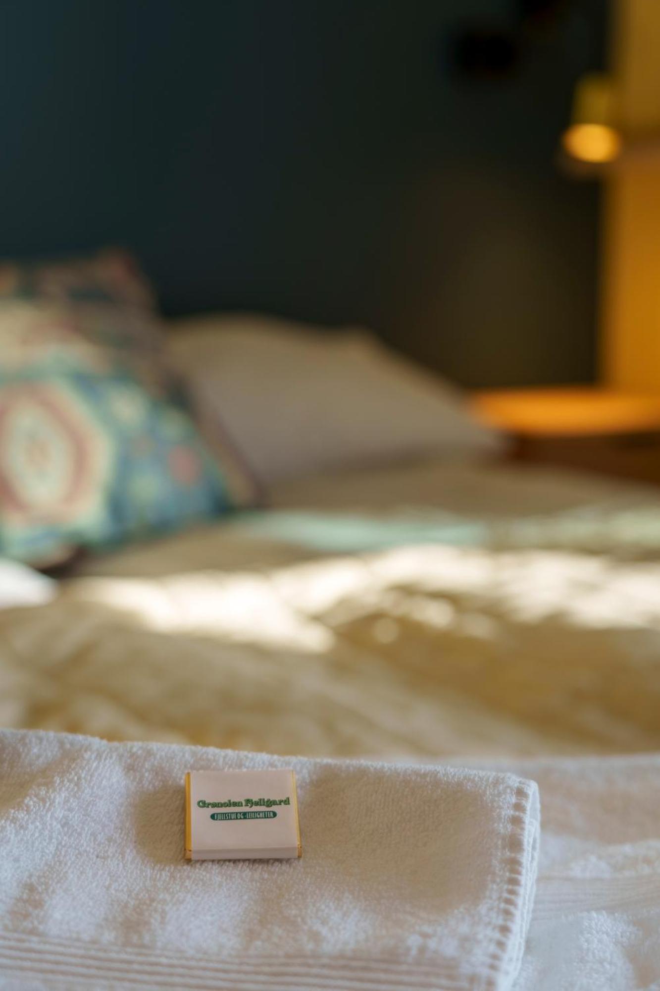 Gronolen Fjellgard Hotel Beitostolen Kültér fotó